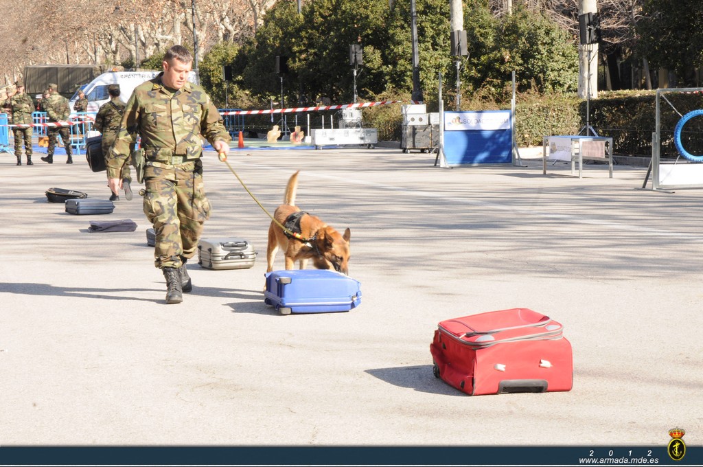 Madrid - Exhibición de la Unidad Canina, Unidad de escoltas y Equipos Operativos de Seguridad